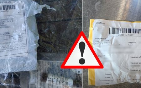 দক্ষিণ কোরিয়া জুড়ে সন্দেহজনক পার্সেল বিতরণ, তদন্তে পুলিশ