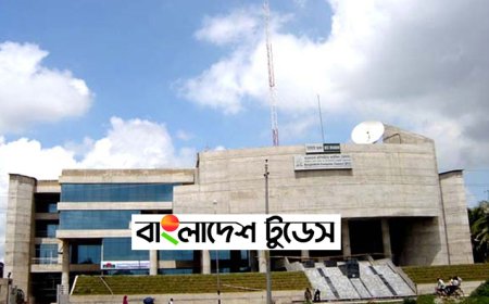 বাংলাদেশ কম্পিউটার কাউন্সিলে জনবল নিয়োগে বিজ্ঞপ্তি প্রকাশ