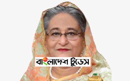 দেশে নির্বাচন নয়, অস্বাভাবিক পরিস্থিতি চায় বিএনপি শেখ হাসিনা