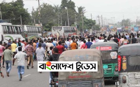 সরকারের পদত্যাগের  প্রতিবাদে রবি ও সোমবার বিএনপির হরতাল