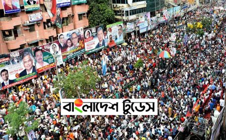 ২৮ অক্টোবর নয়াপল্টন ঘিরে প্রস্তুতি বিএনপির