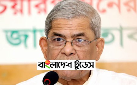 বিএনপি মহাসচিব মির্জা ফখরুল আটক