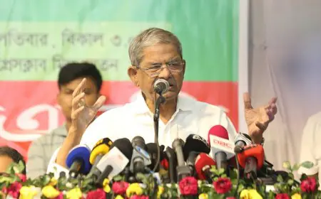 সরকারে থেকে কেউ নতুন দল গঠন করলে মেনে নিবে না জনগণ: মির্জা ফখরুল
