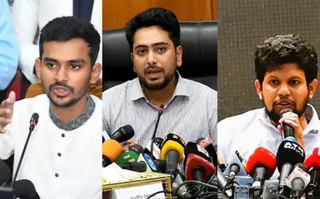 তরুণ উপদেষ্টা পদত্যাগ করে নতুন দলের দায়িত্ব নিতে পারেন